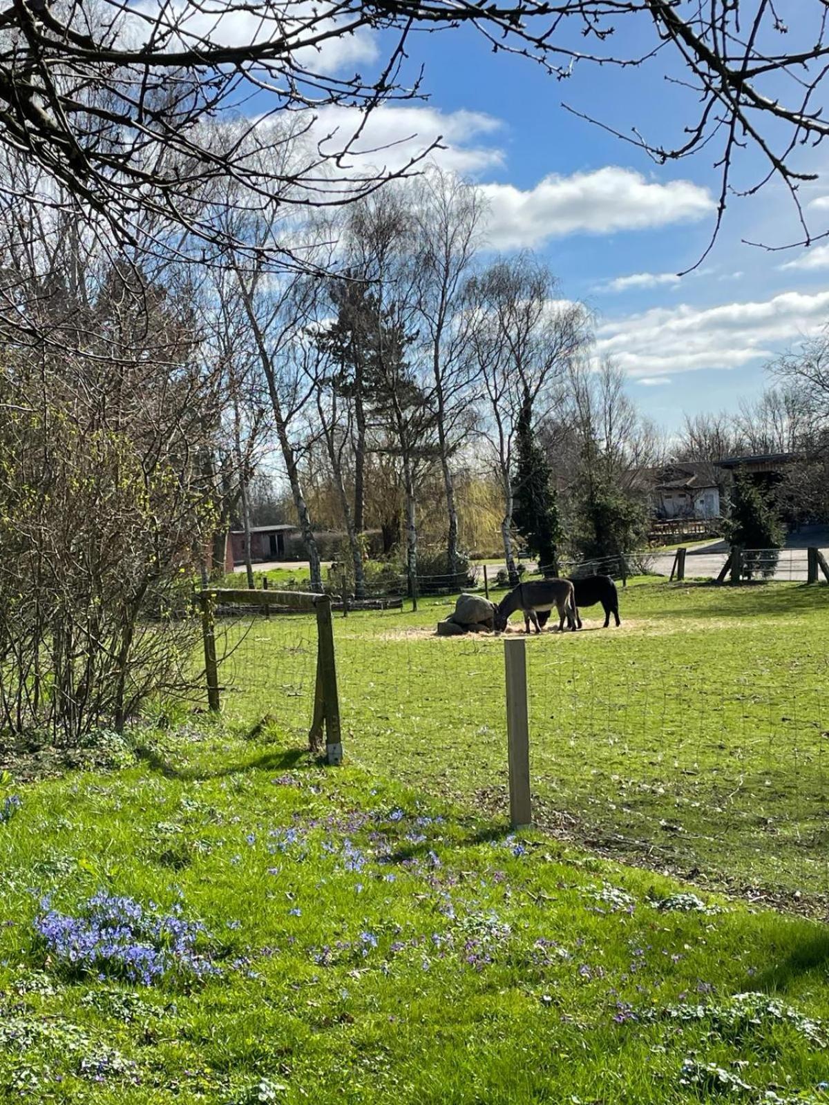 Beltblick Apartment Fehmarn Bagian luar foto