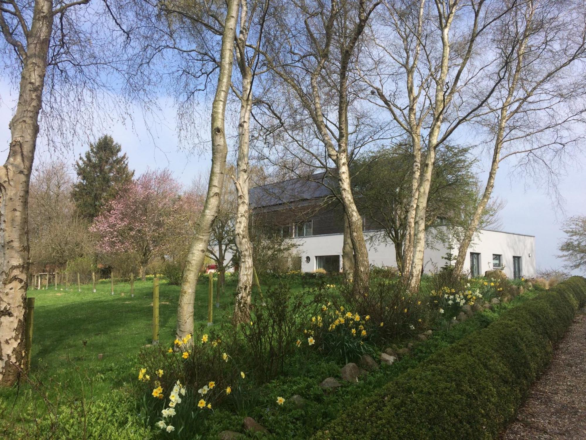 Beltblick Apartment Fehmarn Bagian luar foto