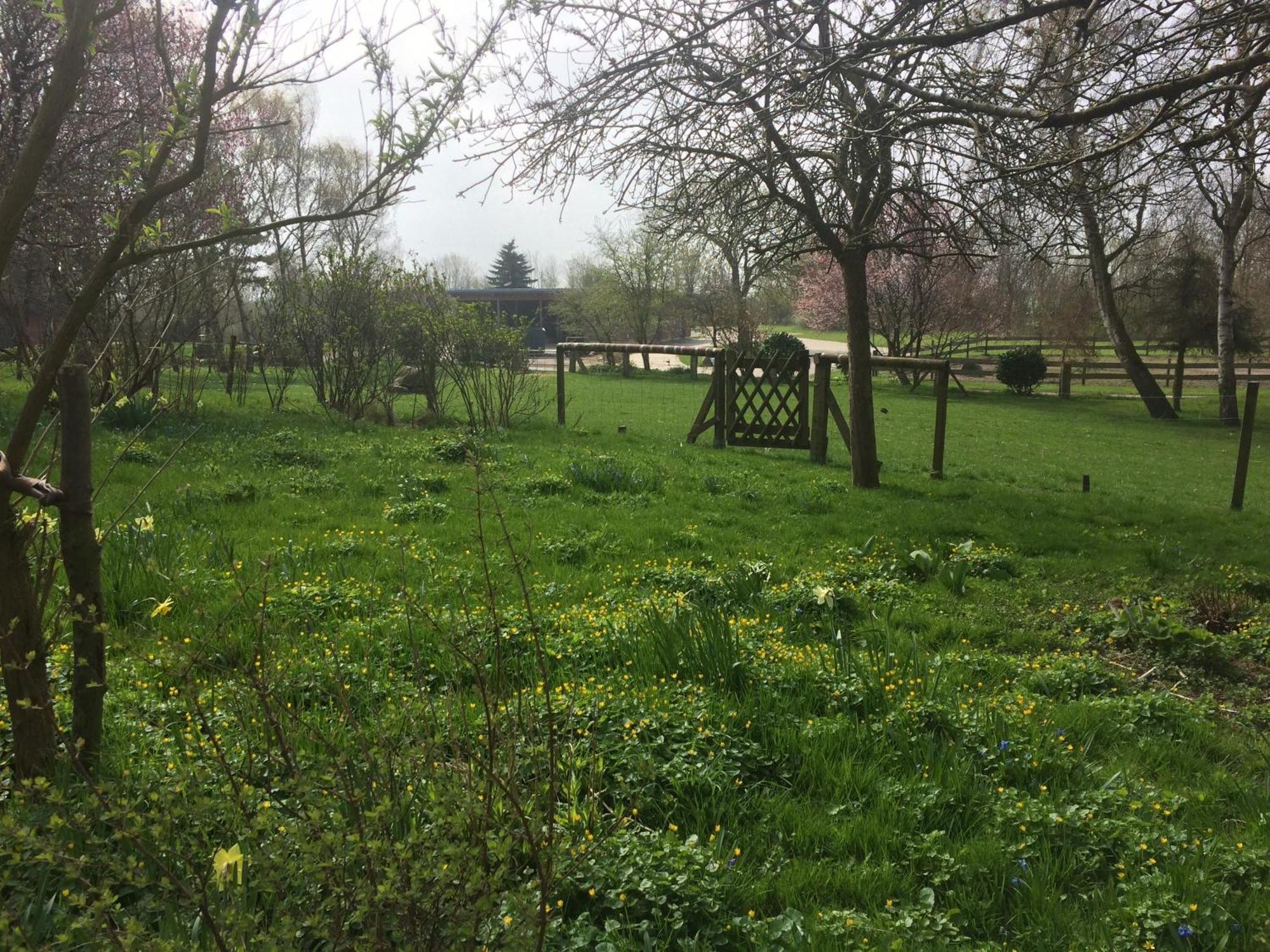 Beltblick Apartment Fehmarn Bagian luar foto