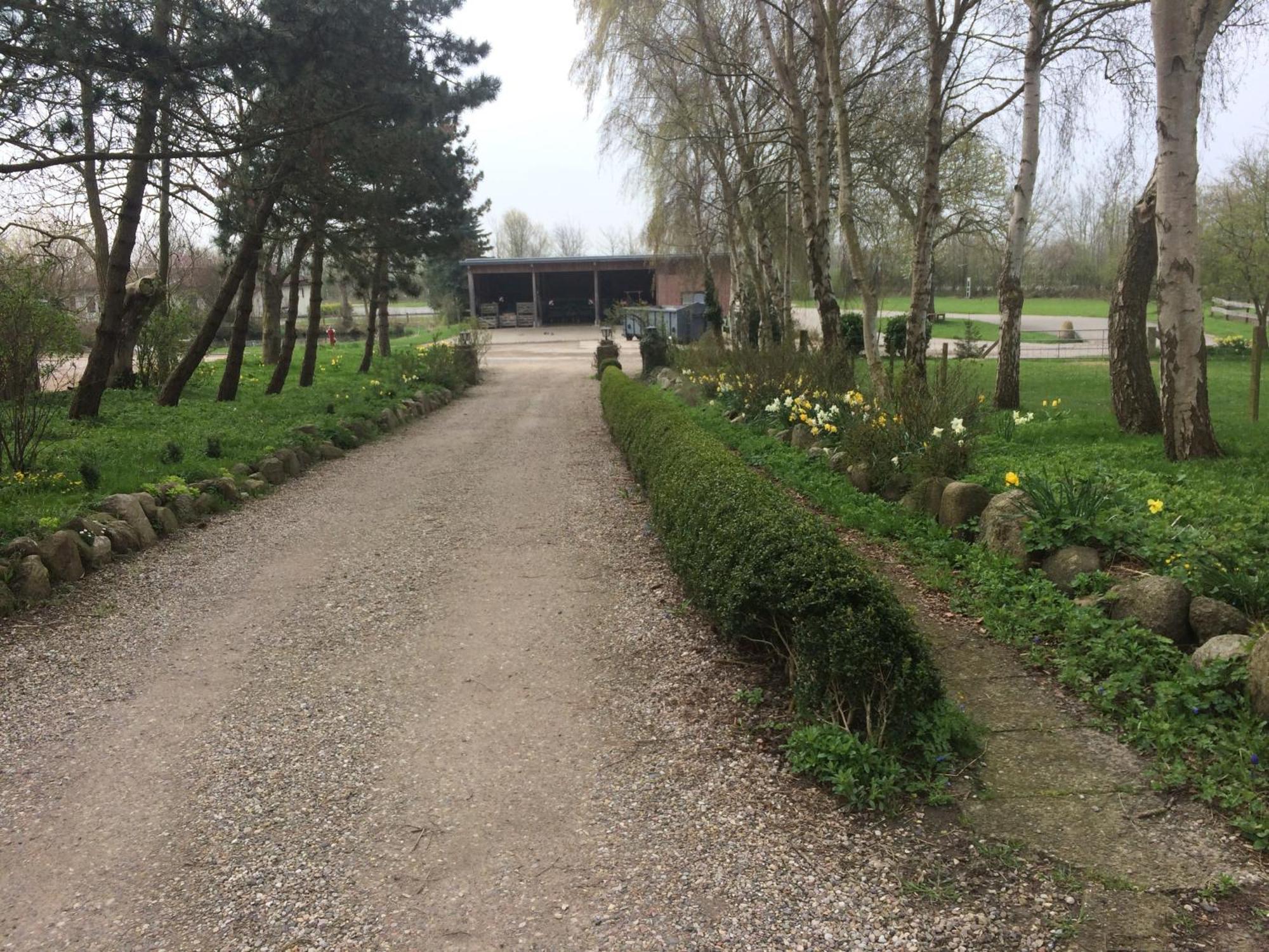 Beltblick Apartment Fehmarn Bagian luar foto